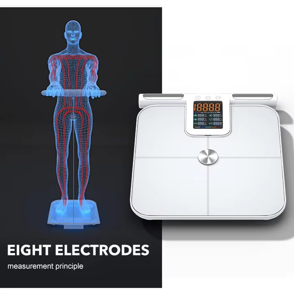 Timbangan lemak tubuh pintar u - Body Fat Scale Smart ulasan dan harga
